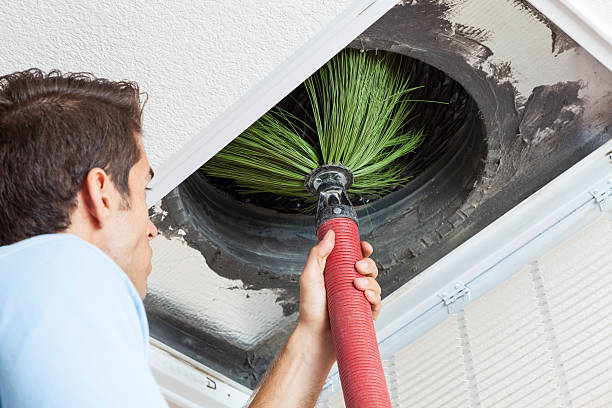 Best Air Duct Cleaning Near Me  in Cavalier, ND